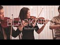 BLACKBIRD | The Beatles - Cattus Quartet (string quartet cover)