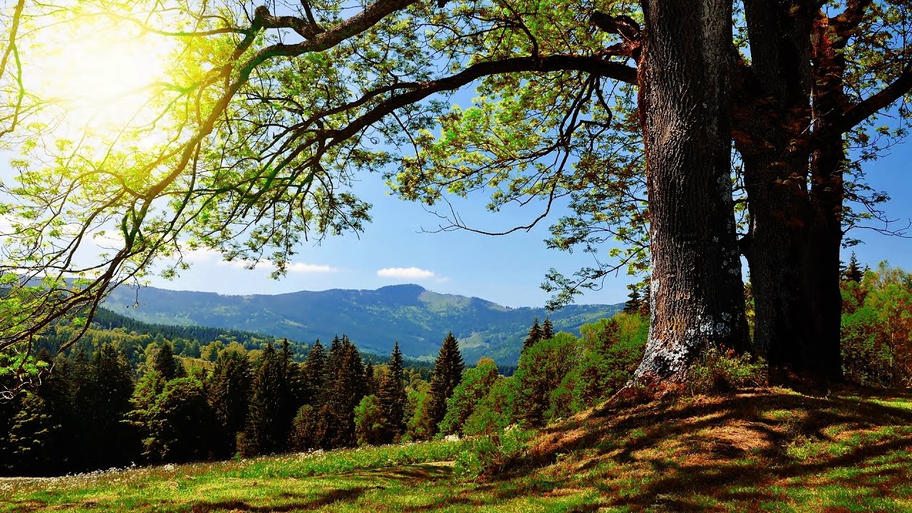 Wild und grenzenlos – Der Oberlausitzer Bergweg | MDR DOK