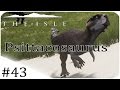 The Isle | Psittacosaurus! | #43 ( SANDBOX ) [Early Access]