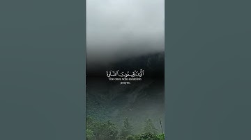 اكتب شي تؤجر عليه #تلاوة_خاشعة #اكسبلور #المصحف #اسلام_صبحي