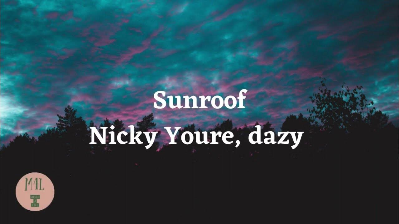 Nicky Youre, dazy Sunroof (Lyrics) YouTube