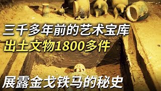 不起眼的中型墓葬出土文物1800多件 其中有些器物竟为国内首次发现史料毫无记载的墓主究竟是谁——白草坡西周墓葬特辑 丨 中华国宝