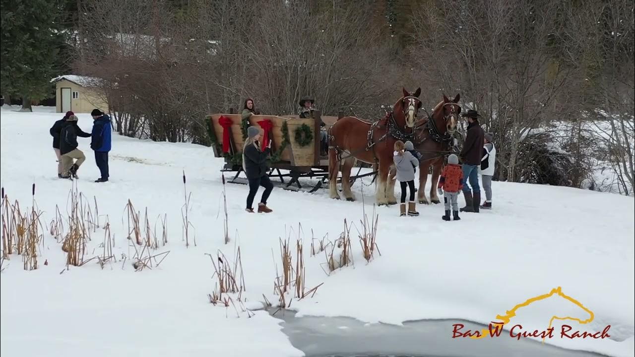 Sleigh Rides Near Glacier National Park YouTube