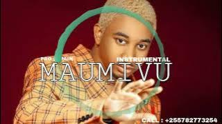 Jay melod -'Maumivu' Bongo Flava Instrumental Beat 2023 |Pro D Pain
