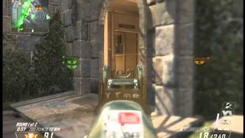 Bo2 Swarm! (No Commentary) Piled On With Homework