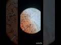 Blood under microscope.