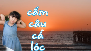 Cắm câu cá lóc bằng mồi cá sống dính cá cả ký lô   Catch fish in vietnam Full HD