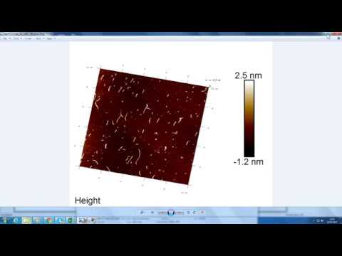 Using AFM NanoScope software V1.8: Part 1