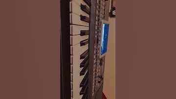 الاغنية التي حطمت قلب كل من سمعها هيا تزوجت وتهنات Tiktok Rai Korg 