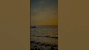 مسكين يلي تحسب الواجد شوي والعافية لو تنشرى وش ثمنها 