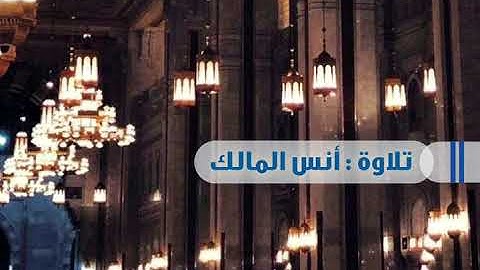 تلاوة ماتيسر من سوة المؤمنون || للقارئ : أنس المالك 🌱