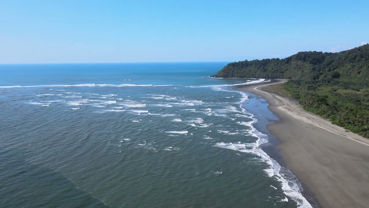Tours to the Sierpe Mangroves • Costa Rica