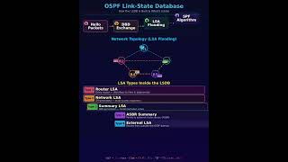 Understanding OSPF Link-State Database (LSDB)