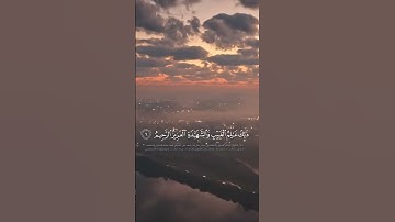 قرأن كريم #قرآن #اكسبلور #قران_كريم #دويتو #تلاوة_خاشعة #لايك #duet #راحة_نفسية