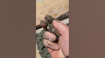 Extreme field testing of Rapt slide plates (pt. 2)