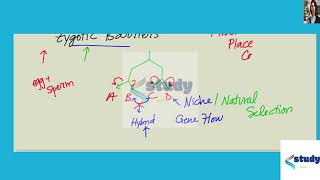 [Biology] What role do prezygotic and postzygotic barriers play in speciation? a. Prezygotic and pos