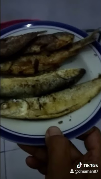 Story wa lucu,tukang pindang