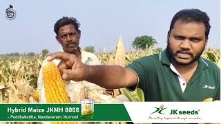 Hybrid Maize JKMH 8008 - A Farmer Story from Peddhakotilla, Nandavaram, Kurnool