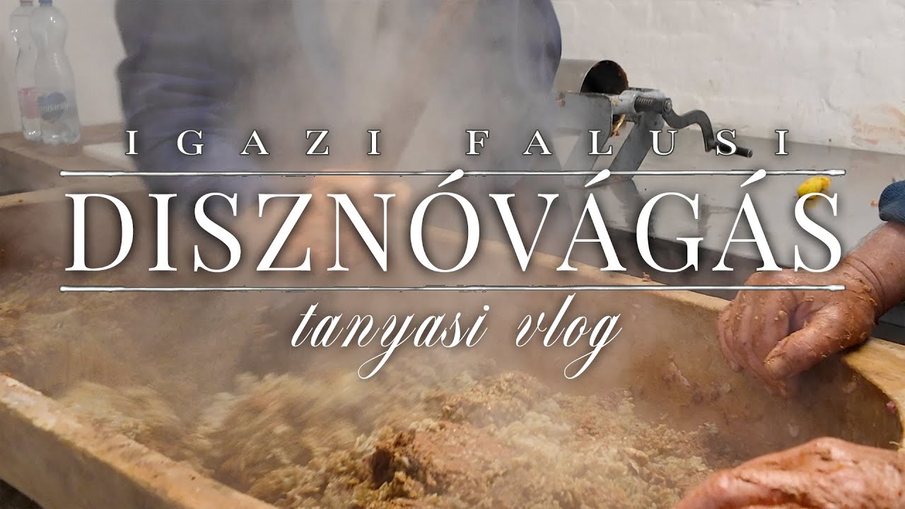 Nem bírom én ezt! | Molnár Miléna