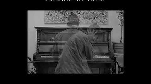 Sequence Dot Com - Endorphinale (2016) Full Album