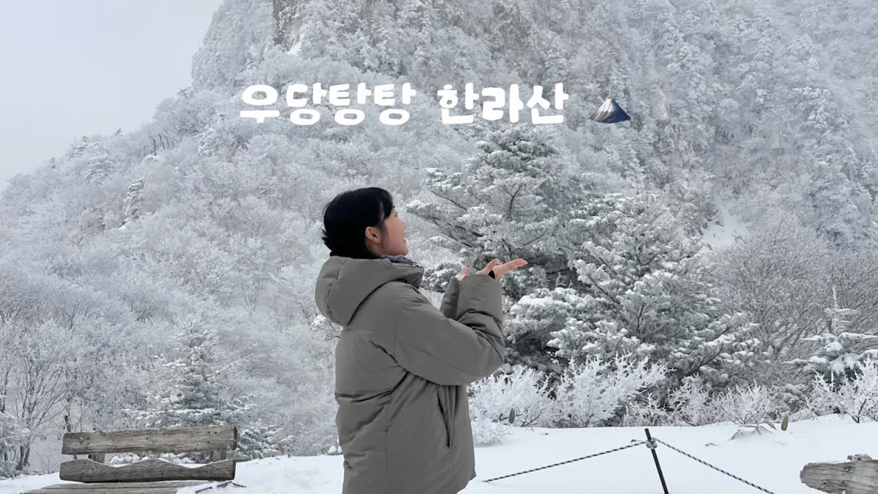 #2 인생 첫 한라산 🗻 [ 관음사 코스 / 신설오름 / 함덕해수욕장 / 도토관 / 943스튜디오 ]