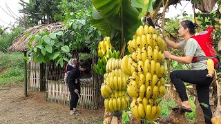 30 Days: 18-Year-Old Single Mother with Child Harvesting Bananas, Cucumbers, Snails & Gardening