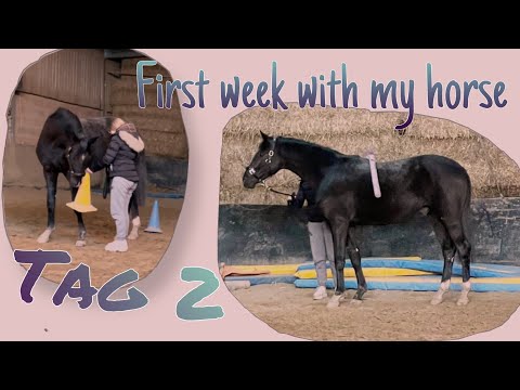 First week with