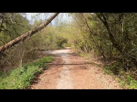 Lydbrook spur Trail