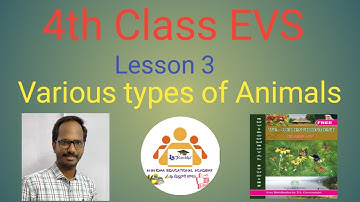 4th Class EVS || Various types of Animals || E M || By Pulluri Balu @AnandhaEducationalAcademy