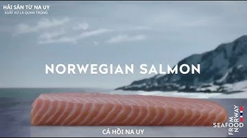 Cá hồi Na Uy - Norwegian salmon – Seafood from Norway (SFN)