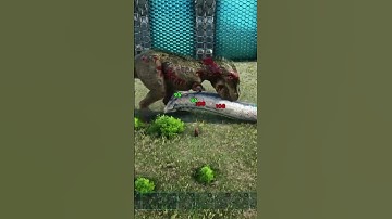 Rex Vs basilisk | ark survival evolved | ark battles