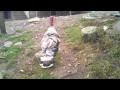 Thomas The Trained Turkey Thomas The Trained Turkey