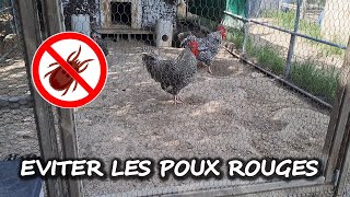 Comment se débarrasser des poux rouges dans le poulailler