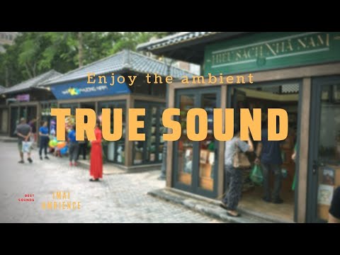 Walking through a book street in Hanoi, Vietnam (4K Slow motion)