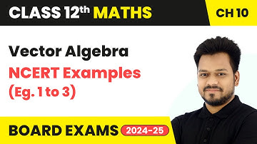 Vector Algebra - NCERT Examples (Eg. 1 to 3) | Class 12 Maths Chapter 10 | CBSE 2025-26