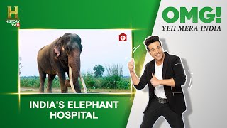 This unique hospital has world class facilities to treat Elephants! #OMGIndia S06E05 Story 2