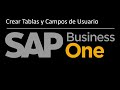 Capacitacion Tecnica SAP Business One B1 v10 - Crear Tablas y Campos definidos por usuario
