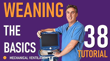 Weaning From Mechanical Ventilation