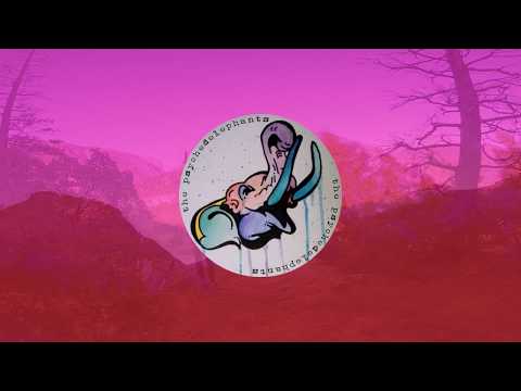 Fata Morgana - The Psychedelephants (Official Music Video)