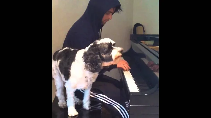 Rocky Sings For Billie - Last Night on Earth