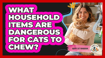 What Household Items Are Dangerous For Cats To Chew?
