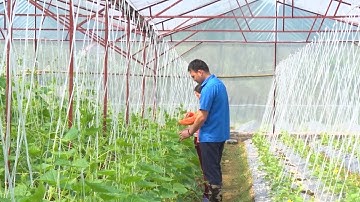 Bắc Kạn thúc đẩy sản xuất nông nghiệp theo hướng công nghệ cao