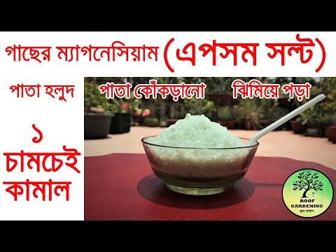 ভিডিও: প্লা ফিলামেন্টে কি গন্ধ হয়?