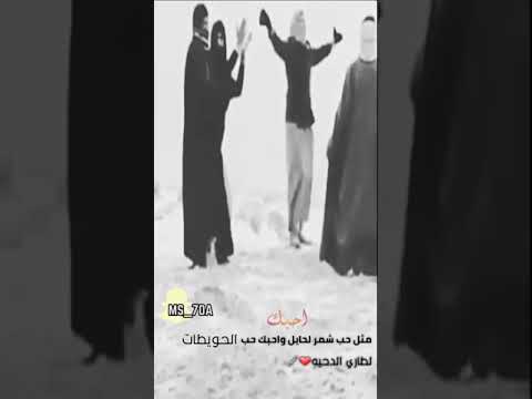 طلال الموسي هبينا ذيابه دحيه الحويطات