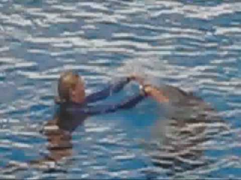 Wideo: Delfiny Udzielają Sobie Nawzajem Dobrych Rad - Alternatywny Widok