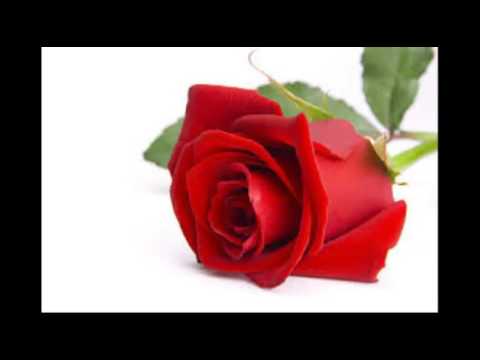 Gustav Winckler — JEG BYDER DEM EN ROSE - Gustav Winkler med Bertrand Bech's Kvartet