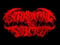 Extirpating The Infected - Blood Dinner