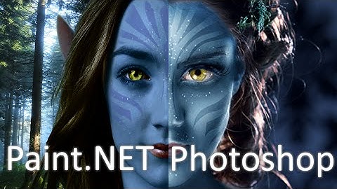 Paint.NET vs Photoshop - Avatar Na