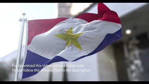 Saba flag with 3d effect blowing in the wind 3D Flag V2 long