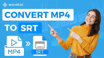 How to Convert MP4 to SRT | Video Tutorial